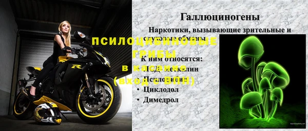 гидра Вязники
